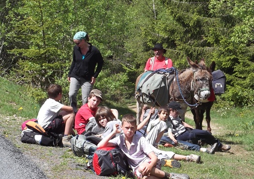 1donkeys